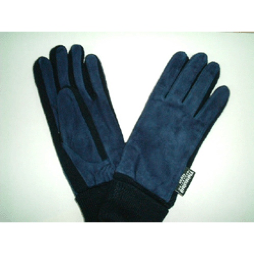 gloves(JM25G02) 